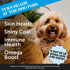 Pet Honesty Skin Health Salmon Chews tub label shows natural ingredients for healthy skin