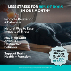 Pet Honesty soft chews close-up showing tasty texture ideal for stress relief.