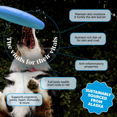 Pet Honesty Wild Alaskan Salmon Oil pour shows easy daily dosing for pets.