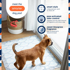 Pet Life Unlimited Smart Prints Sweet Bluegrass fragrance visual for gentle scent