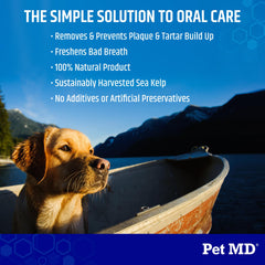 Pet MD Proden PlaqueOff close-up powder texture blends easily into meals.