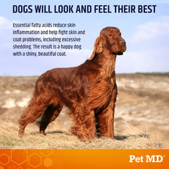 Pet MD Salmon Omega Bites chews close-up showing texture and palatability for dogs.