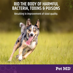 Pet MD Stool-Fix shown with a dog and cat meal for convenient GI upset use.