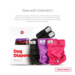 Pet Parents Extendrs dog diaper support showing improved fit