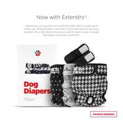 Pet Parents Extendrs closeup showing extra inches for secure, comfortable fit
