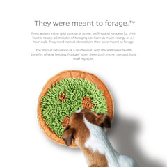 Pet Parents Forager bowl offers visual stimulation during meals.