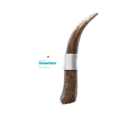 Pet Parents Gnawtlers elk antler for large dogs—6-7 inches of natural chewing challenge