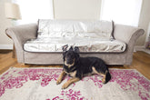 Pet Parents Pain-Free Pet Repeller Mat on couch deters pets from furniture