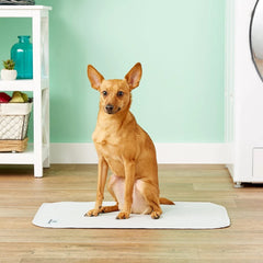 Pet Parents Pawtect Pads 18x24 with neutral tan color blending into home decor