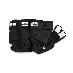 Pet Parents Washable Dog Diapers 3pack on a pup showing reusable protection.