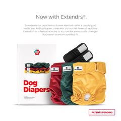 Pet Parents Washable Dog Diapers back view shows secure Velcro closure.