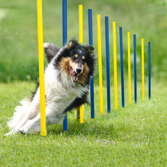 Pet Prime weave poles assembly enables quick backyard agility training setup.