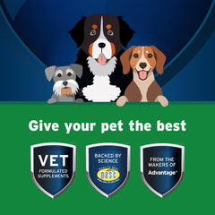 Pet Protect Digestive Health label closeup reveals probiotic ingredients for gut balance.