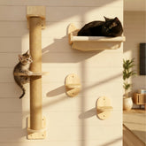 Pet Savvy 4-in-1 window shelf hammock provides elevated cozy lounging with a window view.