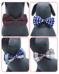 PET SHOW collar bowtie dot black brings timeless accessory for photos