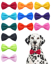 PET SHOW 12-pack navy bow ties for collars add a stylish touch to daily walks