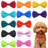 PET SHOW bowties assortment of colors for versatile styling on pets