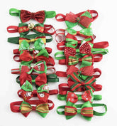 PET SHOW Christmas bow tie on a small dog for festive party styling.