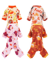 PET SHOW fall-pajamas-pack on a small dog for cozy autumn wear.