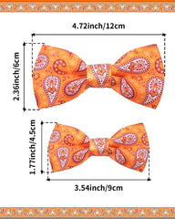 PET SHOW paisley bow tie on a medium dog ideal for party photos.