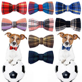 PET SHOW plaid bowtie on a small dog collar for daily charm and photos