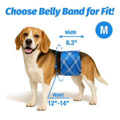 Pet Soft belly band demonstrates elastic waist for comfortable movement.