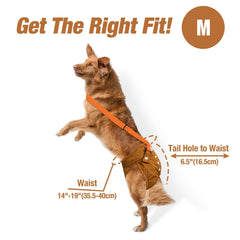 Pet Soft dog diapers suspenders velcro closure highlight strong hold and quick adjustability
