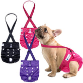 Pet Soft dog diapers with suspenders secure XS dogs during play.