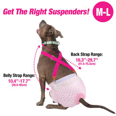 Pet Soft stretchy webbing image shows soft material close to skin and no slipping.