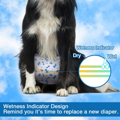 Pet Soft diapers with strong fasteners stay in place during play and movement.