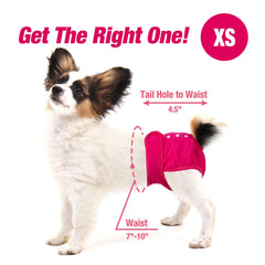 Pet Soft absorbent core visible for quick moisture containment.