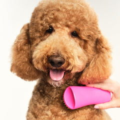 Pet Teezer detangling brush loose hair pickup helps reduce shedding.