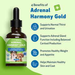 Liquid dropper ready for easy-to-administer adrenal support for dogs.