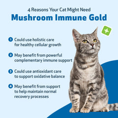 Pet Wellbeing Bacon flavor cat-acceptance image emphasizes palatable administration.