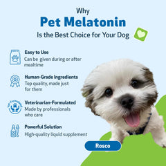 Pet Wellbeing dog-sleep-routine image suggests vet-formulated support for circadian rhythm balance.