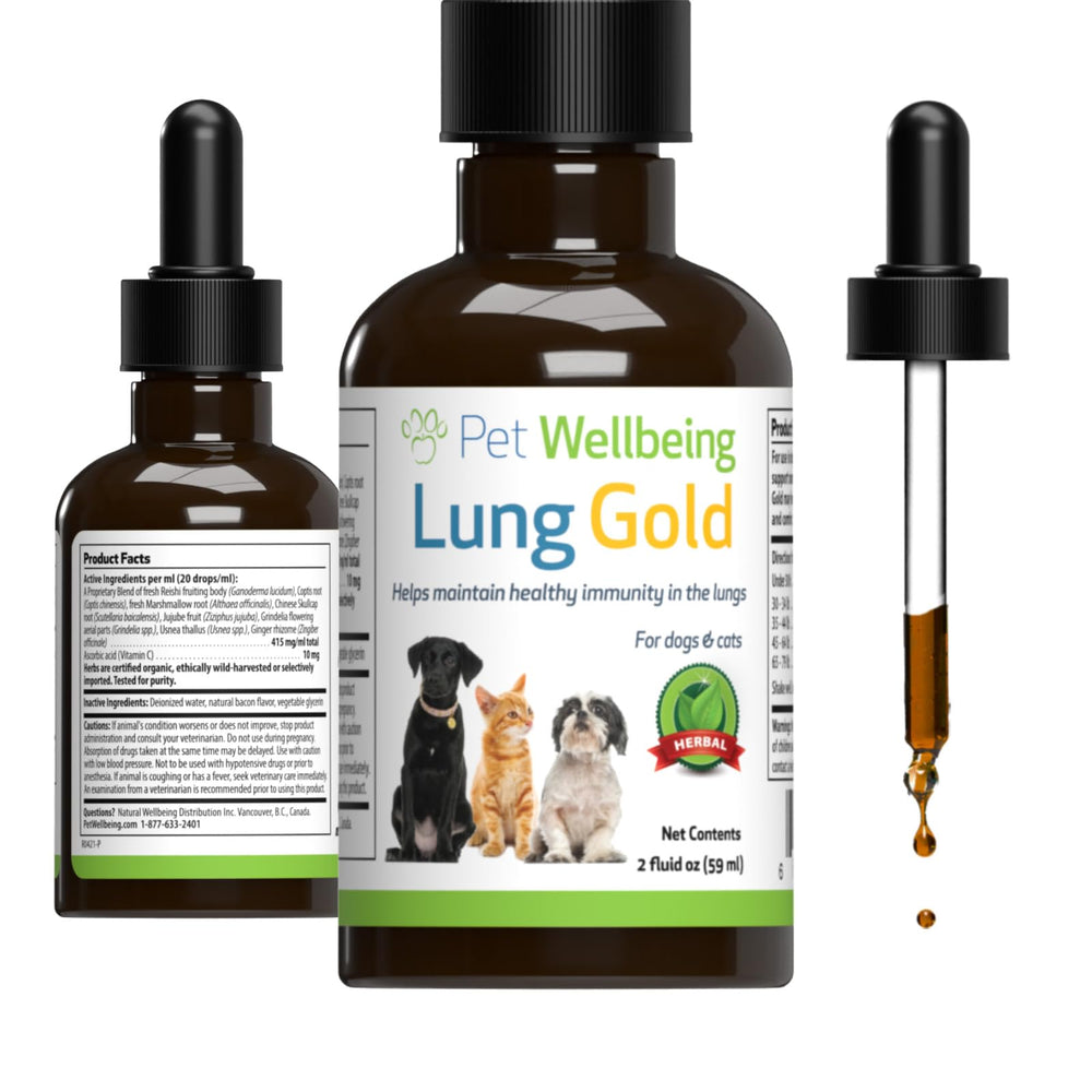 Pet Wellbeing Lung Gold bottle shown for canine respiratory support and ease of use.