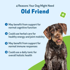 Pet Wellbeing Old Friend dog smiling after dosage promotes mobility.