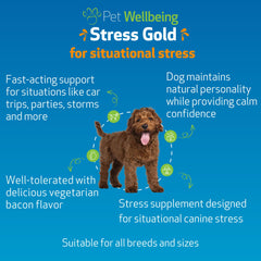 Pet Wellbeing Stress Gold with a traveling dog before car ride stress.