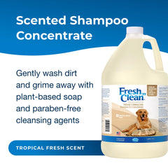 PetAg Fresh ’n Clean lather closeup shows oats for soothing coat care.