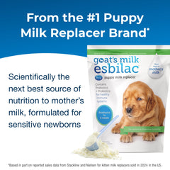 PetAg Goat's Milk Esbilac powder stirred into warm water supports easy digestion.