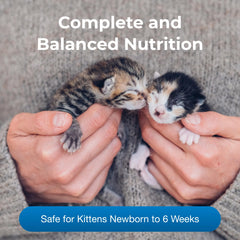 PetAg KMR with prebiotics and probiotics supports kitten gut health