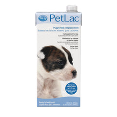 PetLac bottle close-up, showcasing easy-to-digest formula for newborn puppies