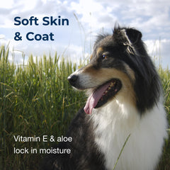 PetAg vitamin E Aloe soothing drops applied to dog skin during care.
