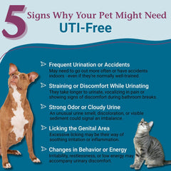 PetAlive UTI granules dissolving, showing easy dosing for pets.