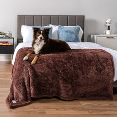 PetAmi brown reversible blanket protects sofa while keeping pets cozy.