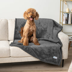 PetAmi dog blanket keeps car seats clean during travel.