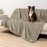 PetAmi fluffy waterproof dog blanket on sofa protects furniture from spills