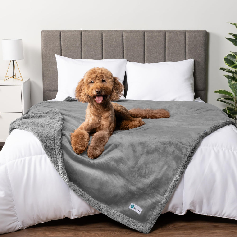 PetAmi waterproof dog blanket on sofa for spill protection and comfort.