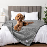 PetAmi waterproof dog blanket on sofa for spill protection and comfort.