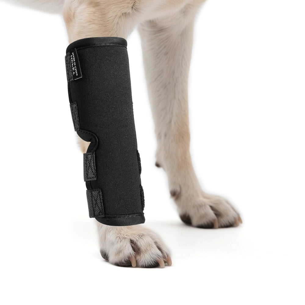 Petanims dog front leg brace closeup highlighting breathable wrap for comfort during wear.